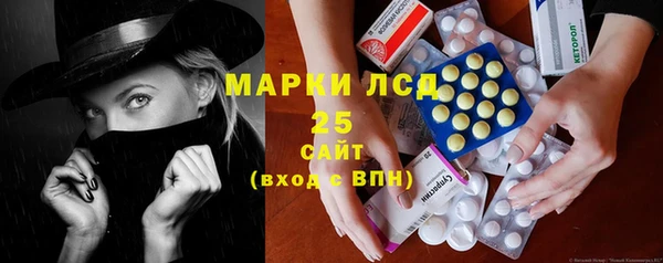 прущий лед Алзамай
