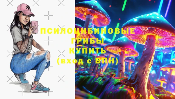 прущий лед Алзамай