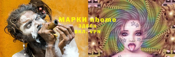 прущий лед Алзамай