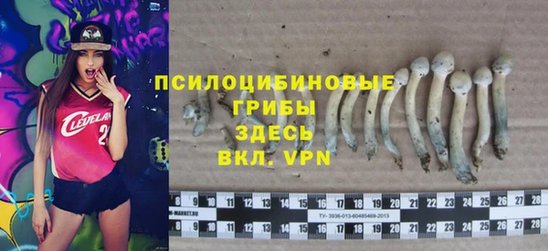 амф Алексин
