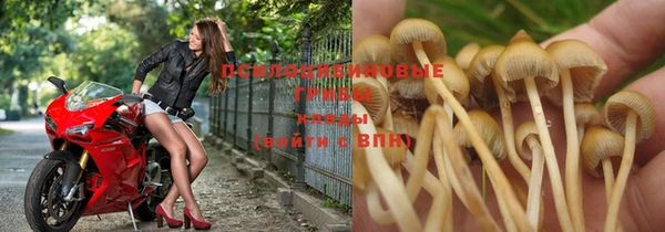 синтетический гашиш Алексеевка