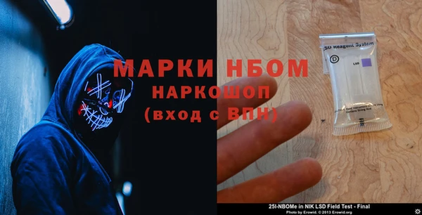 соль ск Медногорск