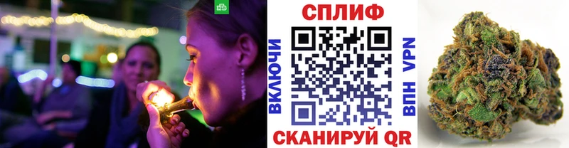 Марихуана Bruce Banner  цены   Цоци-Юрт 